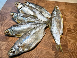 Кальмар паутинка 